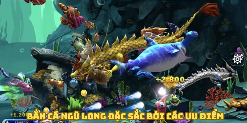 Săn cá ngũ long đặc sắc bởi các ưu điểm