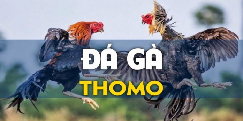 Tuân thủ các quy định chung để đưa ra phán quyết công bằng