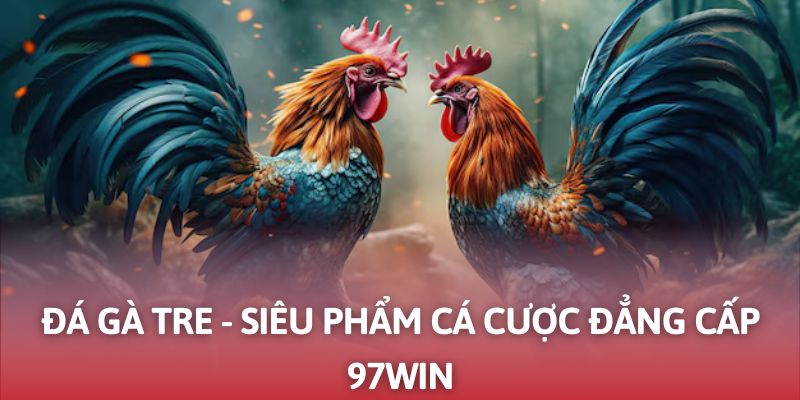 Đá gà tre