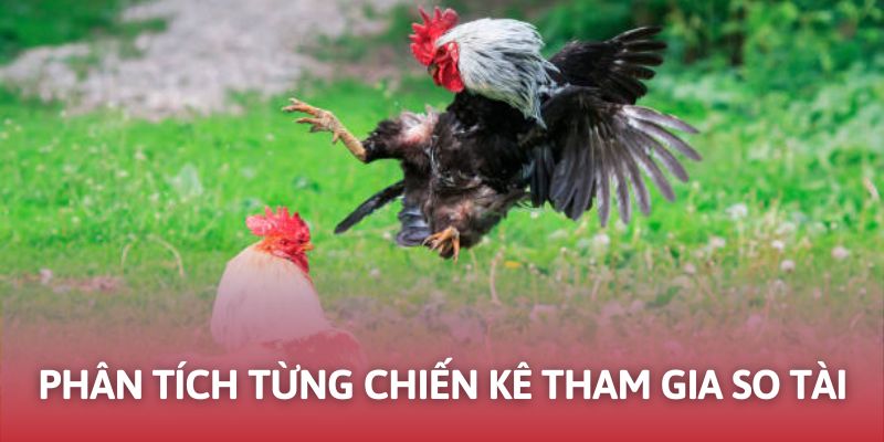 Lịch sử thi đấu có thể tiết lộ nhiều thông tin quan trọng