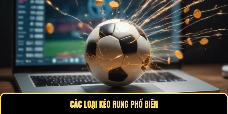 Tổng hợp các loại kèo rung thông dụng