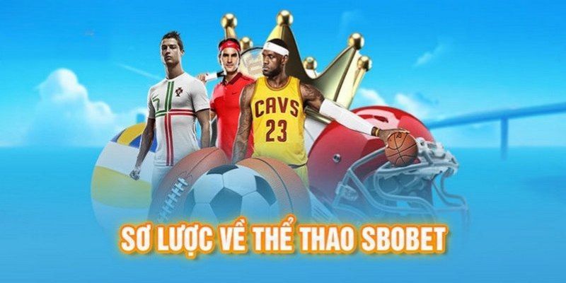 Tìm hiểu chung về sảnh thể thao Sbobet 97win