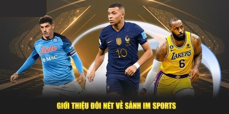 Giới thiệu chung về IM Sports 97Win - thiên đường giải trí số 1