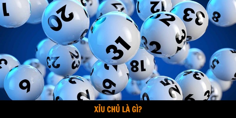 xỉu chủ là gì